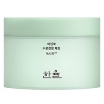 한율 어린쑥 수분진정 패드 170ml, 60개입, 1개