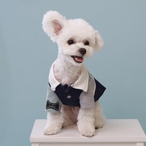 베이비도그 홀릭티 DT027, 네이비