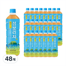 쟈뎅 제주의 봄 청보리차, 500ml, 48개, 1개입