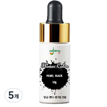 내팜 플라워 아이싱칼라, 5개, 펄블랙, 30g