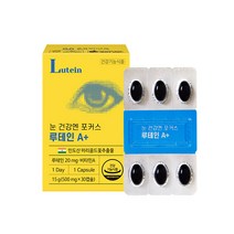 온유바이오 눈 건강엔 포커스 루테인A+ 15g, 30정, 1개