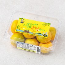 귤탐 당도선별 하우스감귤, 500g(2S-M), 1팩
