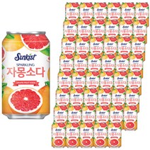 해태htb 썬키스트 자몽소다, 355ml, 48개