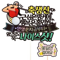 비비드레인 생신 환갑 칠순 케이크 토퍼 + 픽 세트, 176 골프 생신 여자, 1세트