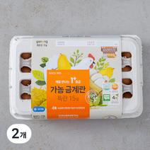 가농 무항생제 1+등급 특란 15구, 2개