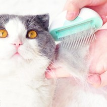 딩동펫 반려동물 2in1 방울방울 미니 브러쉬 단모용, 민트, 1개