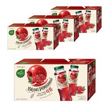 자연은 196일 석류, 180ml, 48개