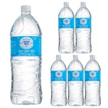 탐사 딥씨워터, 2L, 12개입