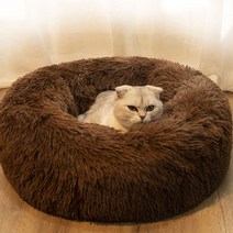 우리집 댕냥이들 껌딱지 마약방석, 다크브라운