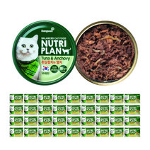 뉴트리플랜 고양이 캔 흰살참치와 멸치 160g, 흰살참치 + 멸치 혼합맛, 36개