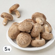 GAP 표고버섯, 300g, 5개