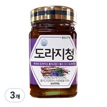힐링앤팜 도라지청, 500g, 3개, 3개