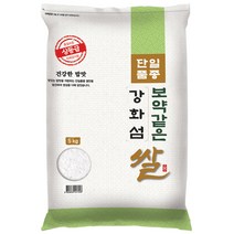 22년햅쌀 대한농산 보약같은 강화섬쌀, 1개, 5kg(상등급)