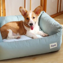 아리코 반려견 무중력 딥슬립 방석, 그린