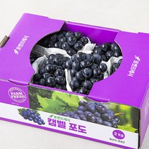 캠벨 포도, 2kg, 1개