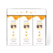 래오이경제 꿀꺽스틱 야생화꿀, 10g, 30개