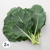 GAP인증 케일, 400g, 2개