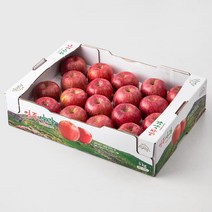 풍기농협 사과, 5kg(18내), 1박스