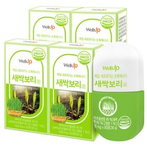 로엘 웰업 추출분말 새싹보리정, 60정, 30g, 4개