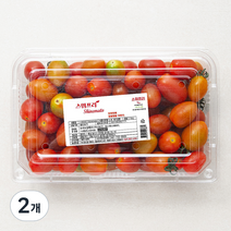 스위프리 스테비아 대추방울토마토, 1kg, 2개