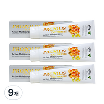 네이쳐스탑 프로폴리스 치약, 110g, 9개