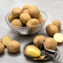 곰곰 감자, 1kg, 1개