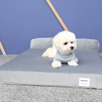 레드퍼피 개몽스 꿀잠 반려동물 침대, 다크그레이