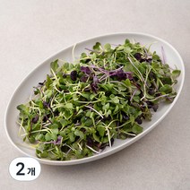 국내산 친환경 어린잎 채소믹스, 200g, 2개