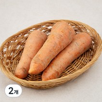친환경 밀양 당근, 1kg, 2개