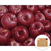 아트조이 물감 2배 DIY 명화그리기 40 x 50 cm, 건강을 부르는 홍사과