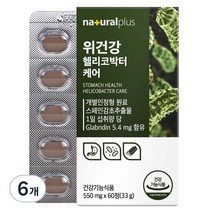 내츄럴플러스 위건강 헬리코박터 케어 33g, 6개