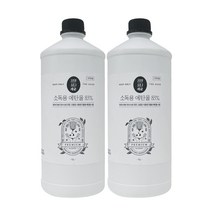 정말싫다 소독 에탄올 1L, 2개