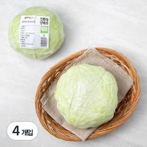 곰곰 친환경 양배추, 1개입, 4개