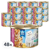 뉴트리나 비스트로 참치와 멸치 고양이캔, 160g, 48개