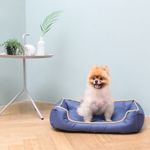 펫트롱 데일리 쿠션방석, 네이비