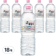 제주용암수, 2L, 18개