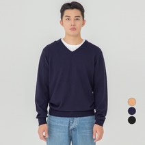 캐럿 남성용 데일리 브이넥 니트