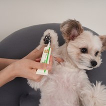 래핑찰리 수딩 오인먼트, 20g, 1개