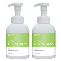 아임클린 클린데이 거품형 핸드워시 라임 버베나, 500ml, 2개