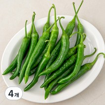곰곰 국내산 청양고추, 300g, 4개