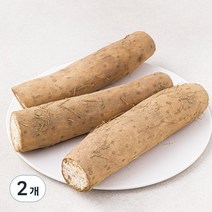 곰곰 국내산 마, 1kg, 2개