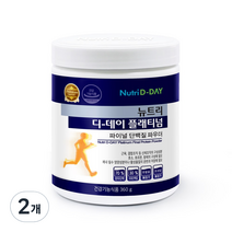뉴트리디데이 플래티넘 파이널 단백질 파우더, 360g, 2개