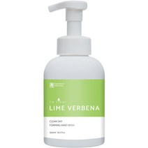 아임클린 클린데이 거품형 핸드워시 라임 버베나, 500ml, 1개