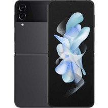 삼성전자 갤럭시 Z 플립4 5G 자급제 SM-F721N, 그라파이트, 256GB