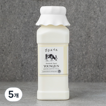 영준목장 수제 요거트 플레인, 5개, 500ml