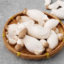 친환경인증 미니 새송이버섯, 200g, 1봉