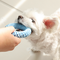 뽀시래기 강아지 치석제거 오링 치실장난감 S, 캔디, 1개