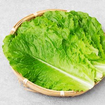 친환경 로메인, 70g, 1봉