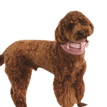 핑카 넥카라 베이비터들, 핑크