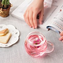 프라임위너스 릴리 내열유리 필터 티 머그컵 370ml, 무색, 1개